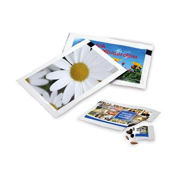 Bustine di semi di fiori con stampa personalizzata