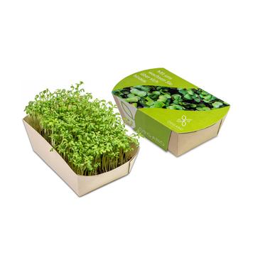 Mini giardino in scatola promozionale